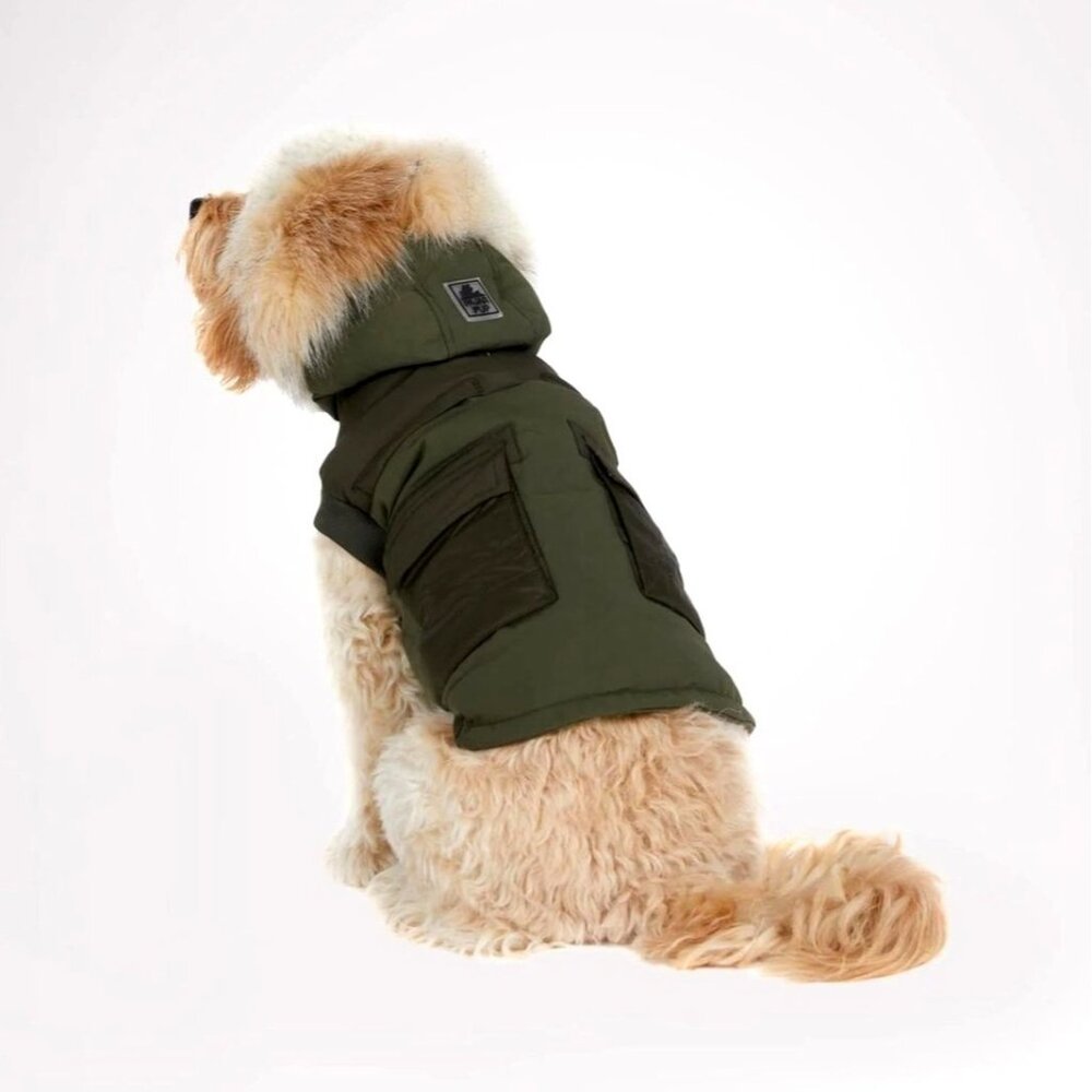 Parjar Pup Zeus Jacket for Dogs w/Faux Fur Trim Military Green XL NEW - Picture 1 of 11